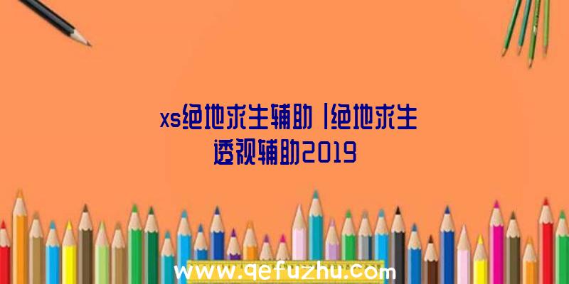 「xs绝地求生辅助」|绝地求生透视辅助2019